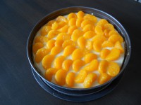 Cheesecake s mandarinkami